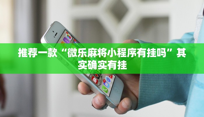 教程辅助!“微乐麻将有挂么必赢”其实确实有挂