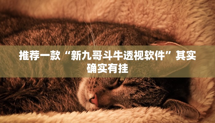 推荐一款“新九哥斗牛透视软件”其实确实有挂