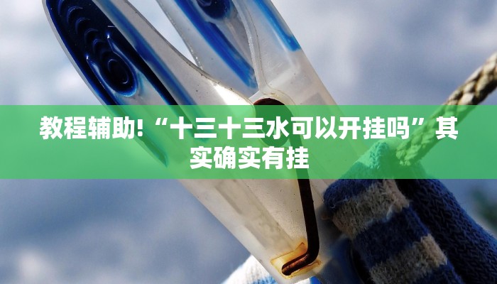 教程辅助!“十三十三水可以开挂吗”其实确实有挂
