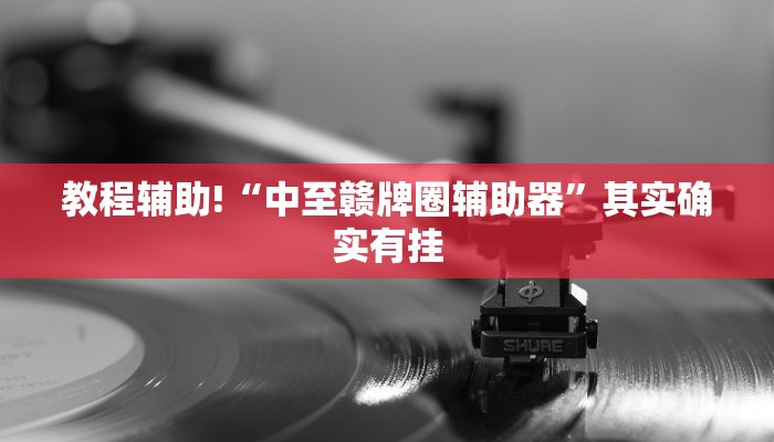 教程辅助!“中至赣牌圈辅助器”其实确实有挂