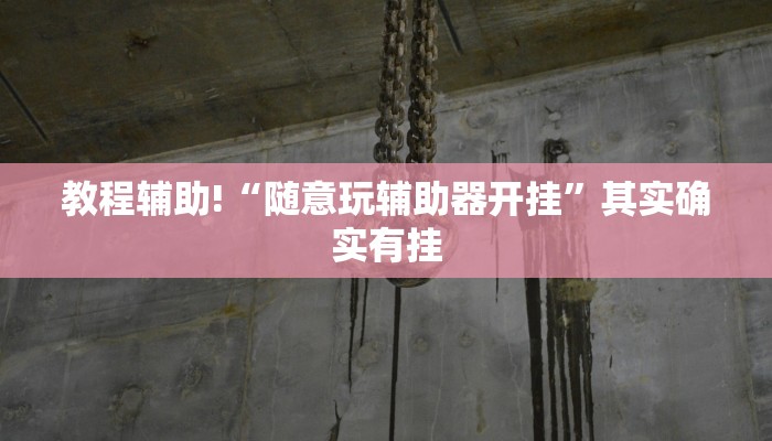 教程辅助!“随意玩辅助器开挂”其实确实有挂