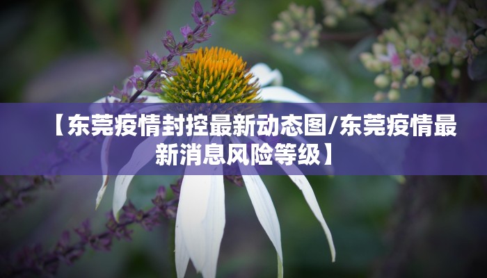 【东莞疫情封控最新动态图/东莞疫情最新消息风险等级】