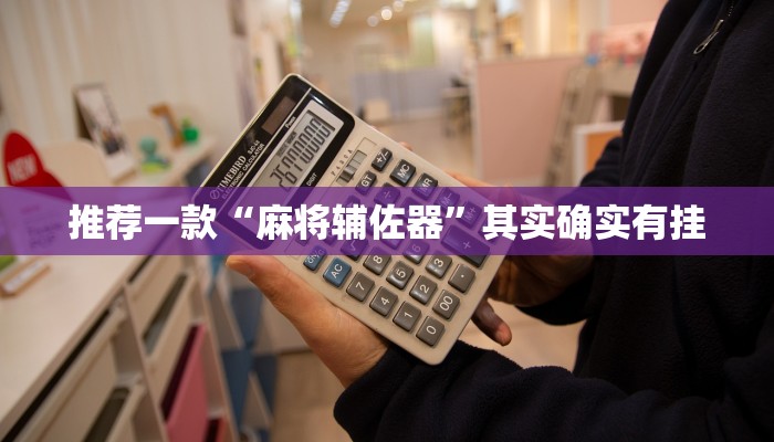 推荐一款“麻将辅佐器”其实确实有挂