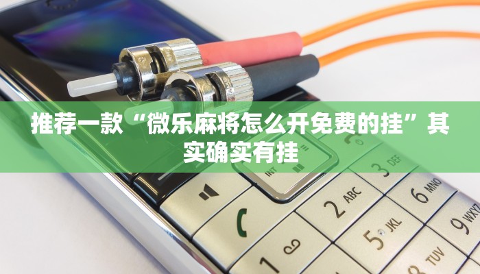 推荐一款“微乐麻将怎么开免费的挂”其实确实有挂
