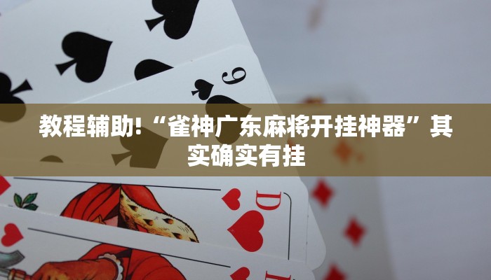 教程辅助!“雀神广东麻将开挂神器”其实确实有挂