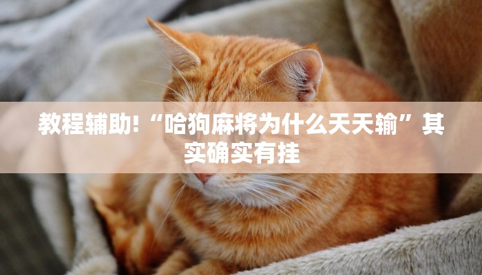 教程辅助!“哈狗麻将为什么天天输”其实确实有挂