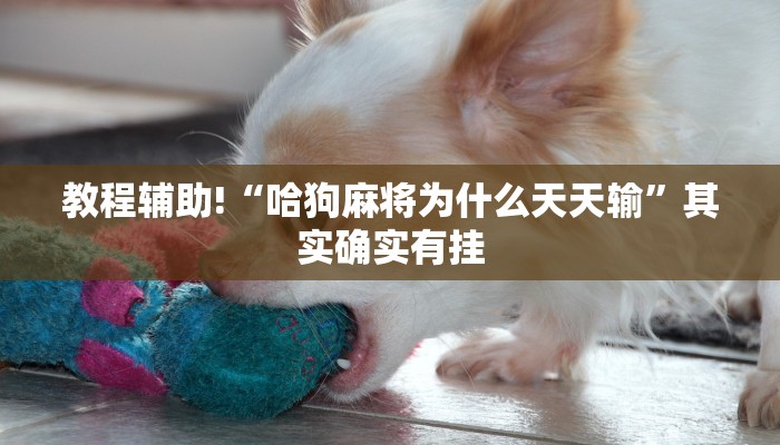 教程辅助!“微信里微乐麻将有挂吗是真的吗”其实确实有挂