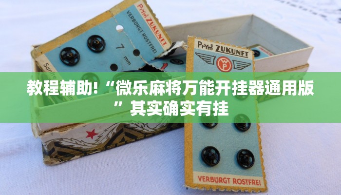 教程辅助!“微乐麻将万能开挂器通用版”其实确实有挂