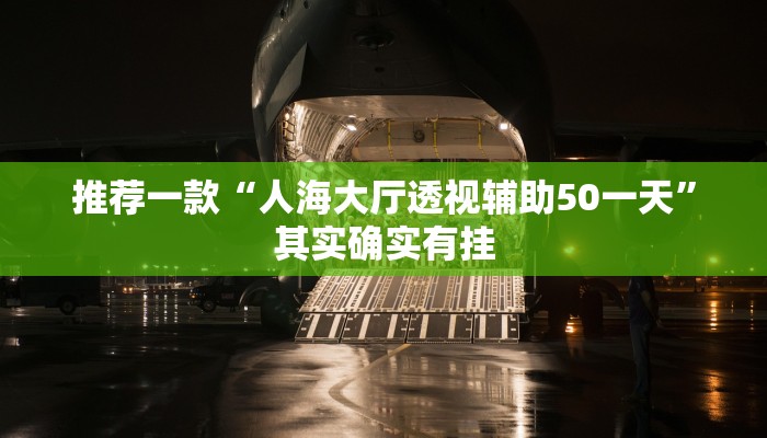 推荐一款“人海大厅透视辅助50一天”其实确实有挂
