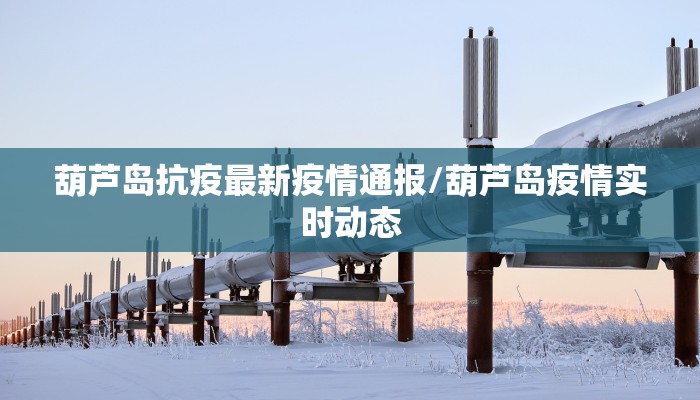 葫芦岛抗疫最新疫情通报/葫芦岛疫情实时动态