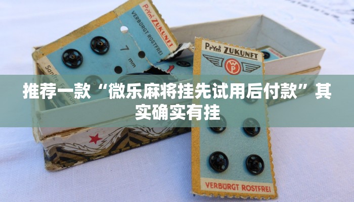 推荐一款“微乐麻将挂先试用后付款”其实确实有挂
