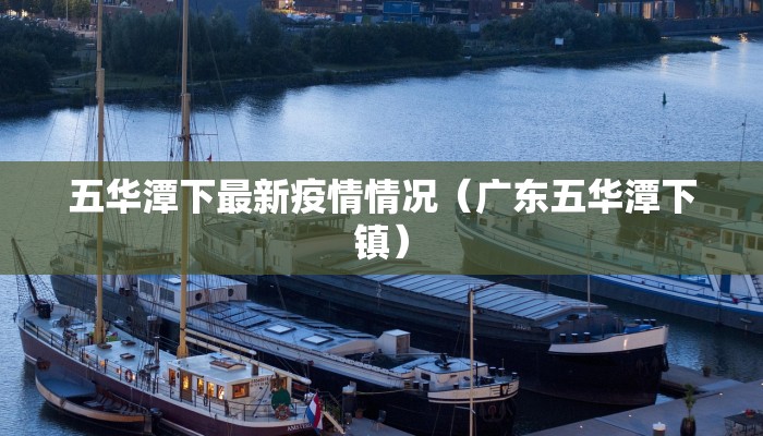 五华潭下最新疫情情况（广东五华潭下镇）