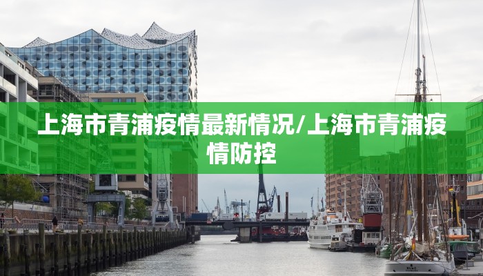上海市青浦疫情最新情况/上海市青浦疫情防控