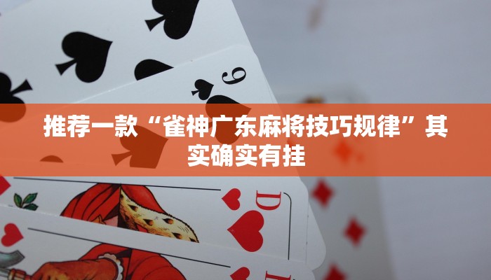 推荐一款“雀神广东麻将技巧规律”其实确实有挂