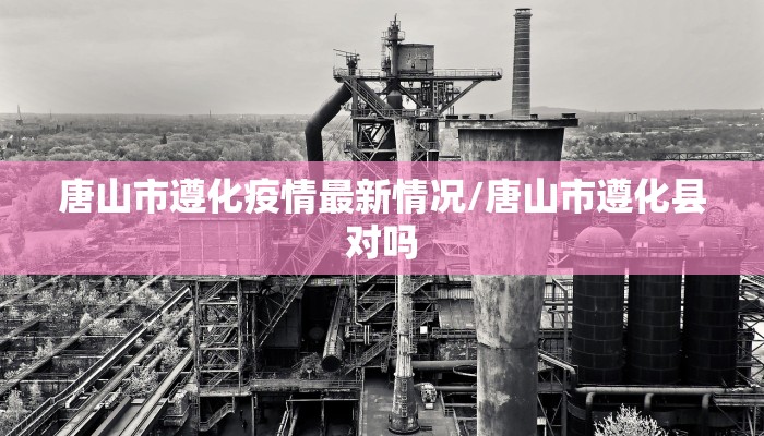 【山东东营疫情地图最新版/山东东营新冠肺炎最新情况】