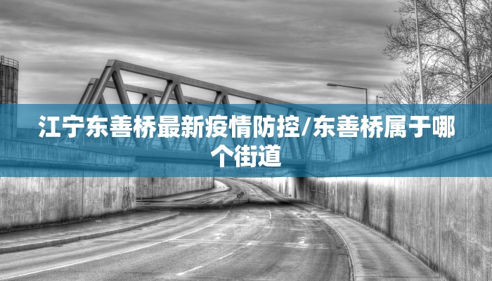 江宁东善桥最新疫情防控/东善桥属于哪个街道