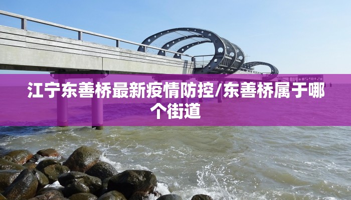 江宁东善桥最新疫情防控/东善桥属于哪个街道