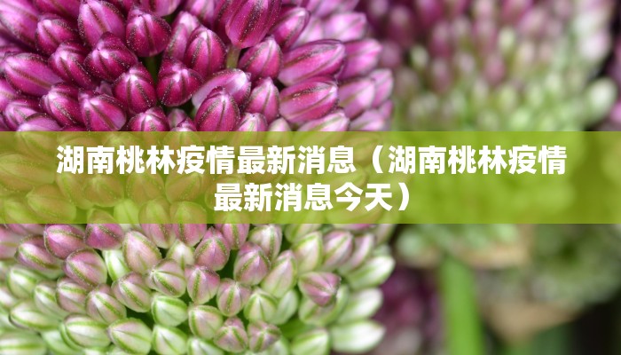 湖南桃林疫情最新消息（湖南桃林疫情最新消息今天）