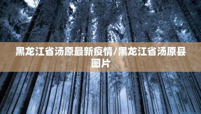 黑龙江省汤原最新疫情/黑龙江省汤原县图片