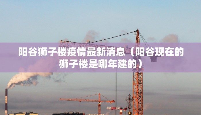 阳谷狮子楼疫情最新消息（阳谷现在的狮子楼是哪年建的）