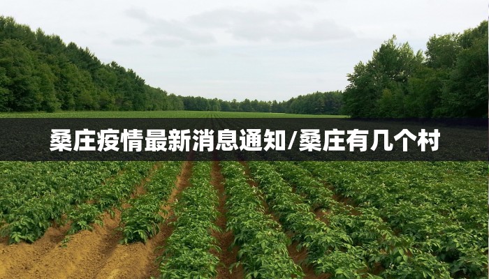 桑庄疫情最新消息通知/桑庄有几个村