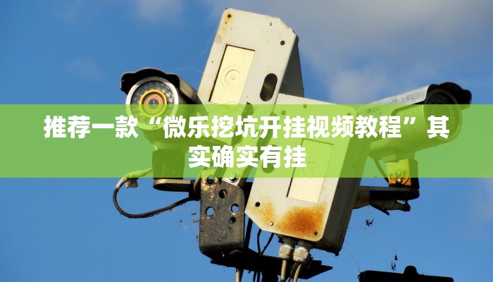 推荐一款“微乐挖坑开挂视频教程”其实确实有挂