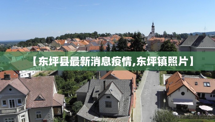 【东坪县最新消息疫情,东坪镇照片】