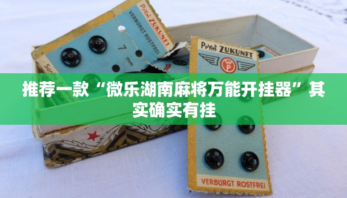 推荐一款“微乐湖南麻将万能开挂器”其实确实有挂