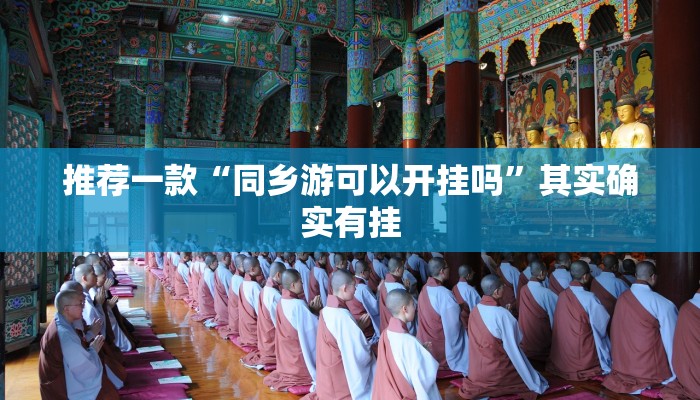 推荐一款“同乡游可以开挂吗”其实确实有挂