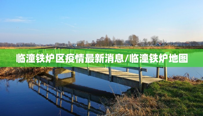 临潼铁炉区疫情最新消息/临潼铁炉地图