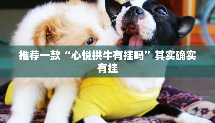 推荐一款“心悦拱牛有挂吗”其实确实有挂
