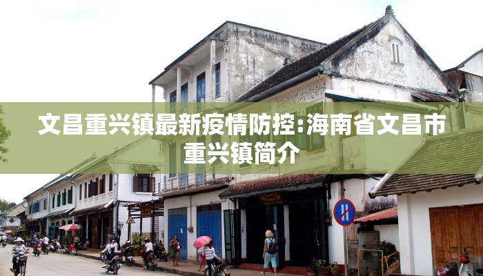 文昌重兴镇最新疫情防控:海南省文昌市重兴镇简介
