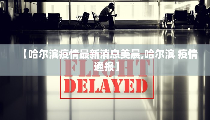 【哈尔滨疫情最新消息美晨,哈尔滨 疫情 通报】