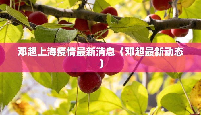 邓超上海疫情最新消息（邓超最新动态）