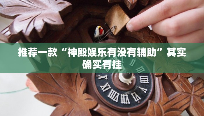 推荐一款“神殿娱乐有没有辅助”其实确实有挂