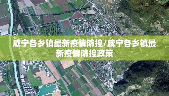 咸宁各乡镇最新疫情防控/咸宁各乡镇最新疫情防控政策