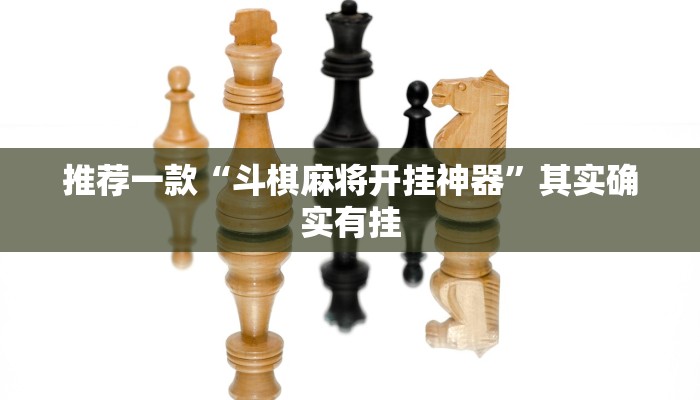 推荐一款“斗棋麻将开挂神器”其实确实有挂