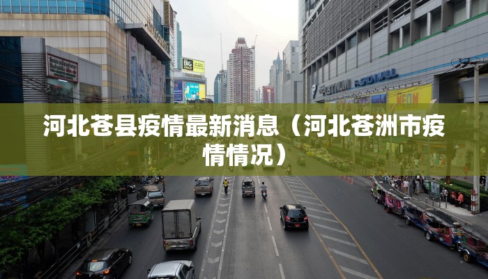 河北苍县疫情最新消息（河北苍洲市疫情情况）