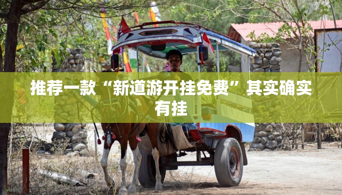 推荐一款“新道游开挂免费”其实确实有挂