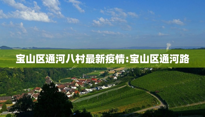 宝山区通河八村最新疫情:宝山区通河路