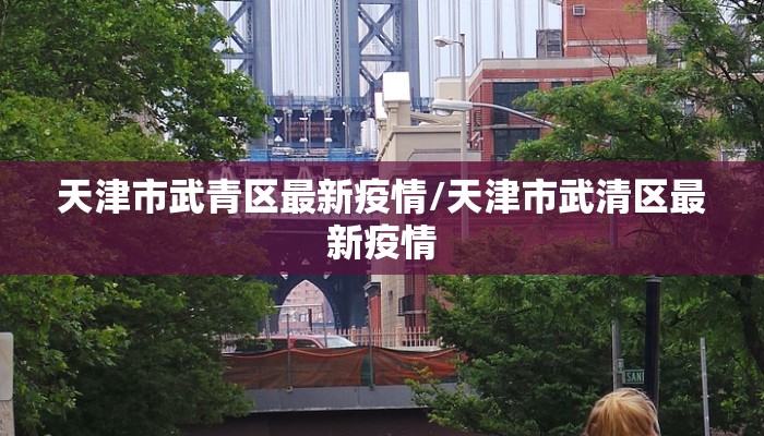 天津市武青区最新疫情/天津市武清区最新疫情