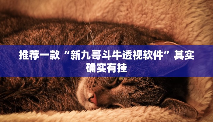 推荐一款“新九哥斗牛透视软件”其实确实有挂