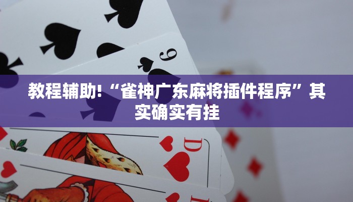 教程辅助!“雀神广东麻将插件程序”其实确实有挂