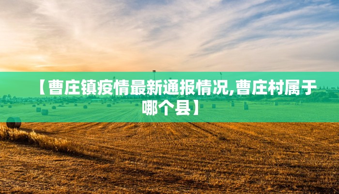 【曹庄镇疫情最新通报情况,曹庄村属于哪个县】