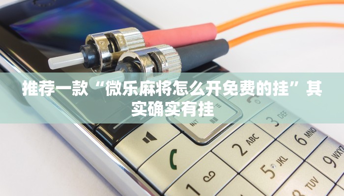 推荐一款“微乐麻将怎么开免费的挂”其实确实有挂